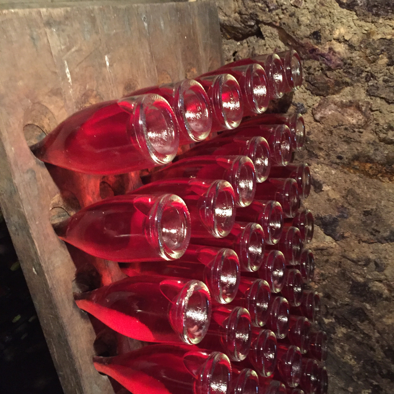 Ricerca vini e fornitura cantine